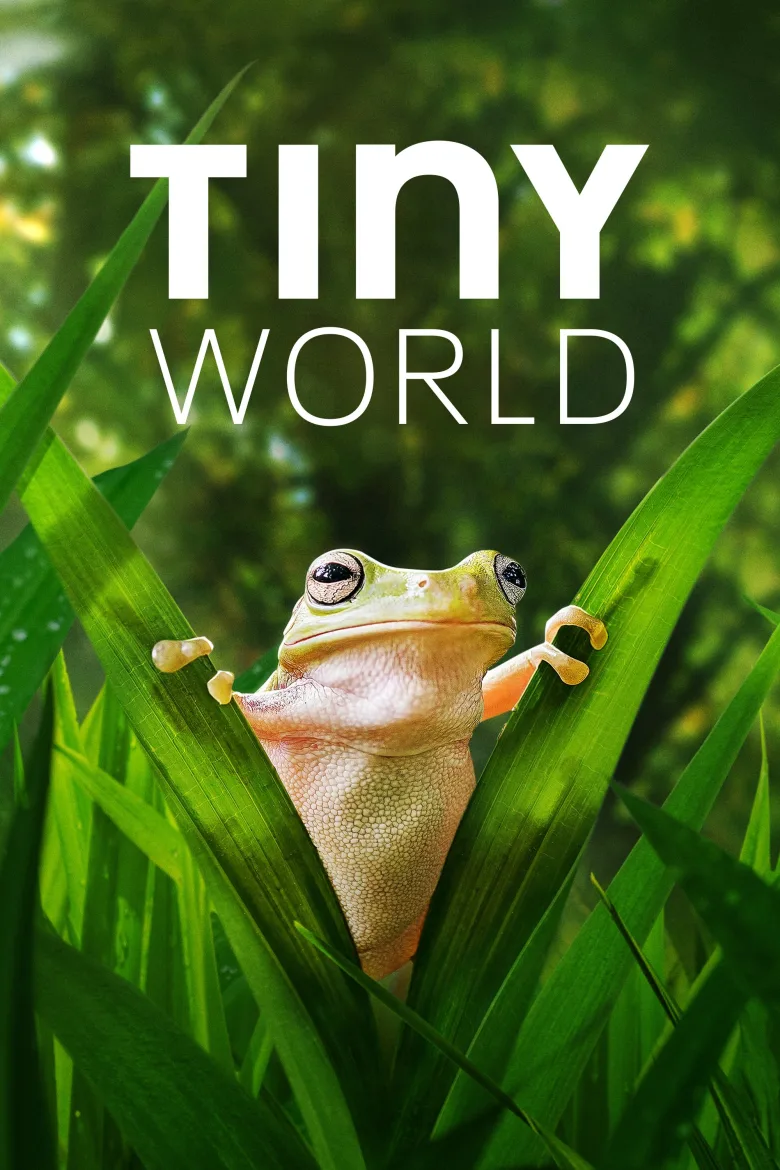 Tiny World 1080p Altyazılı İndir - görsel 10