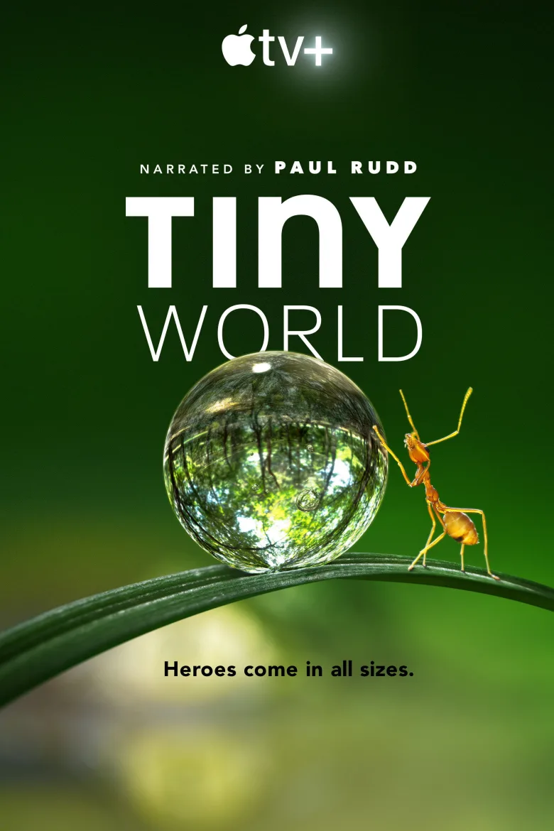 Tiny World 1080p Altyazılı İndir - görsel 11
