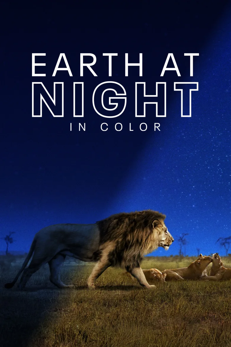 Earth at Night in Colour 1080p Altyazılı İndir - görsel 12