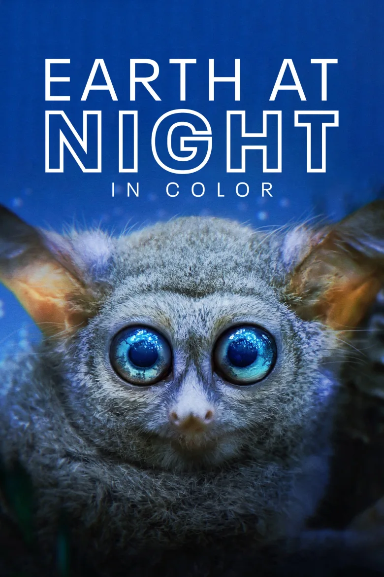 Earth at Night in Colour 1080p Altyazılı İndir - görsel 13
