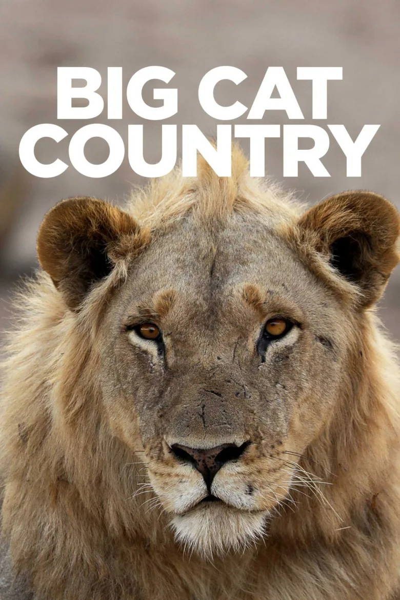 Big Cat Country 1080p İndir - görsel 3