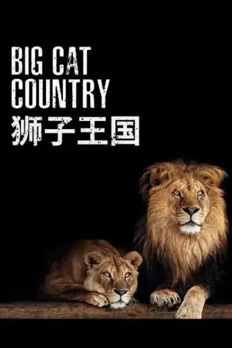 Big Cat Country 1080p İndir - görsel 5