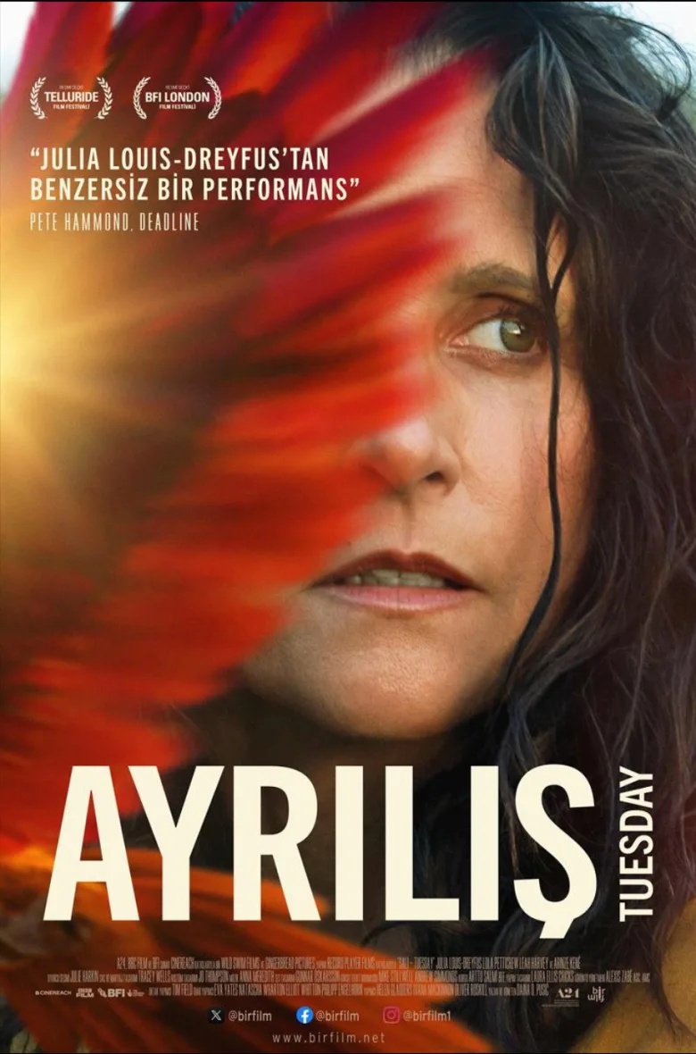 Ayrılış İndir - görsel 12