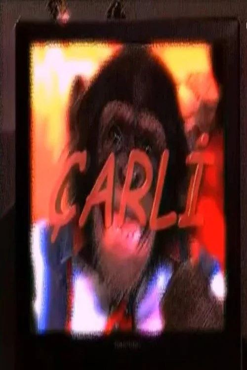 Çarli 1080p İndir - görsel 5