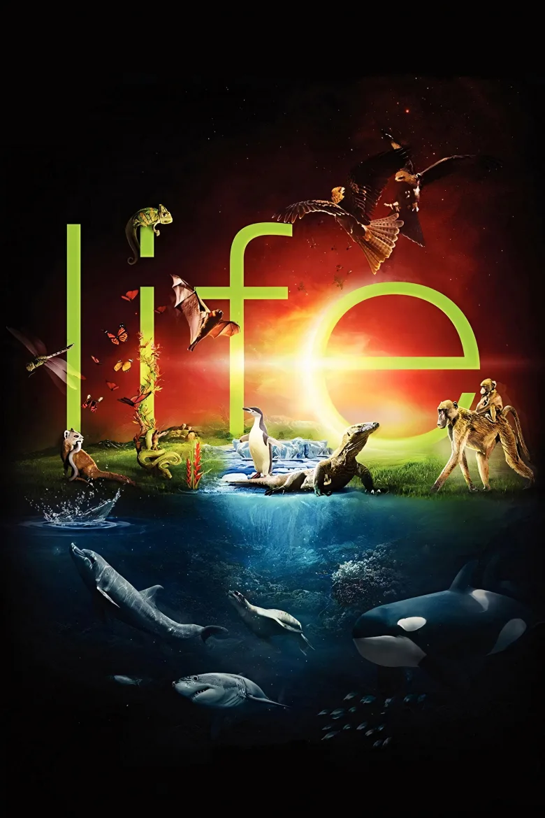 Life - görsel 13