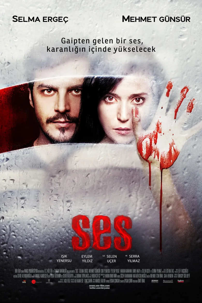 Ses - görsel 3