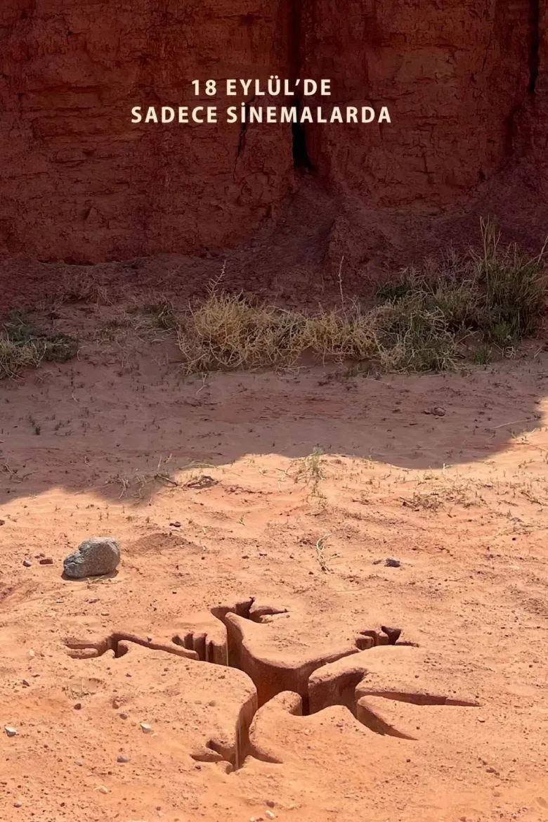 Coyote Acme'ye Karşı - görsel 12