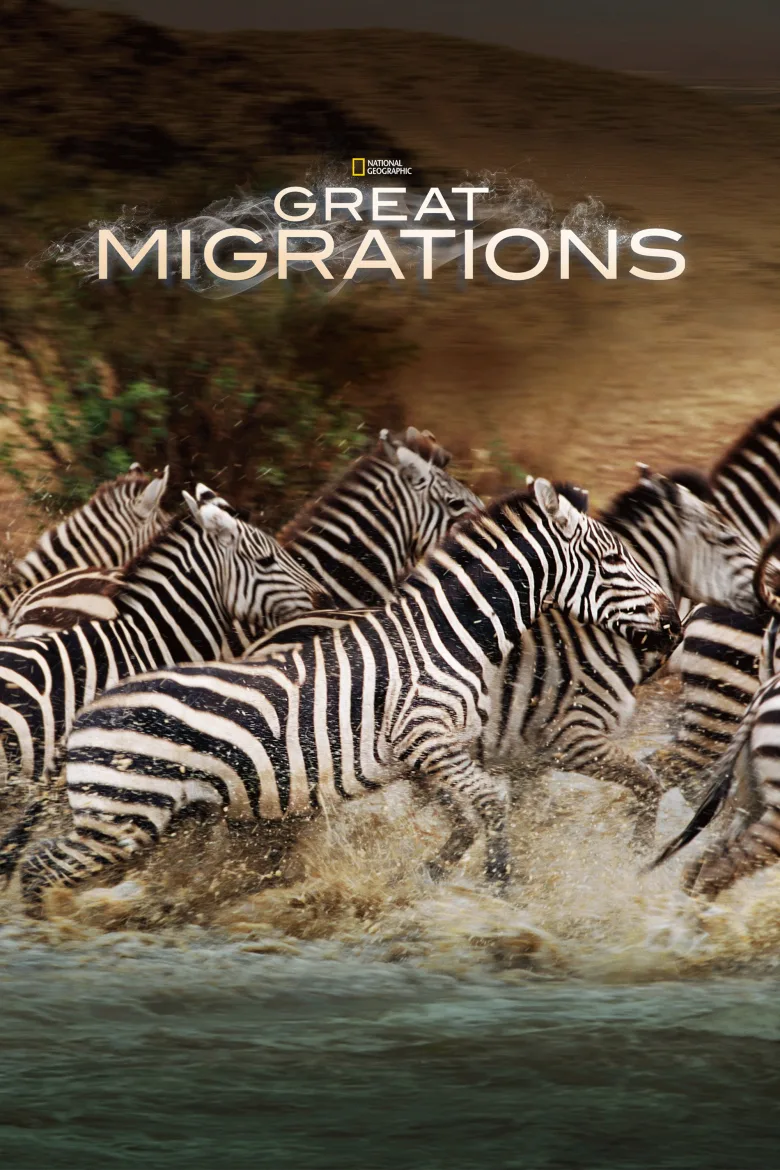 Great Migrations 1080p İndir - görsel 7