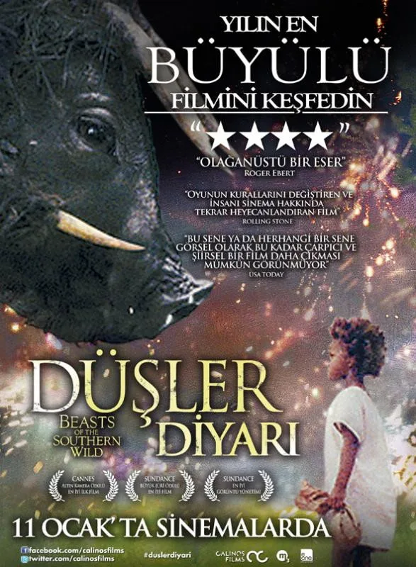 Düşler Diyarı - görsel 11