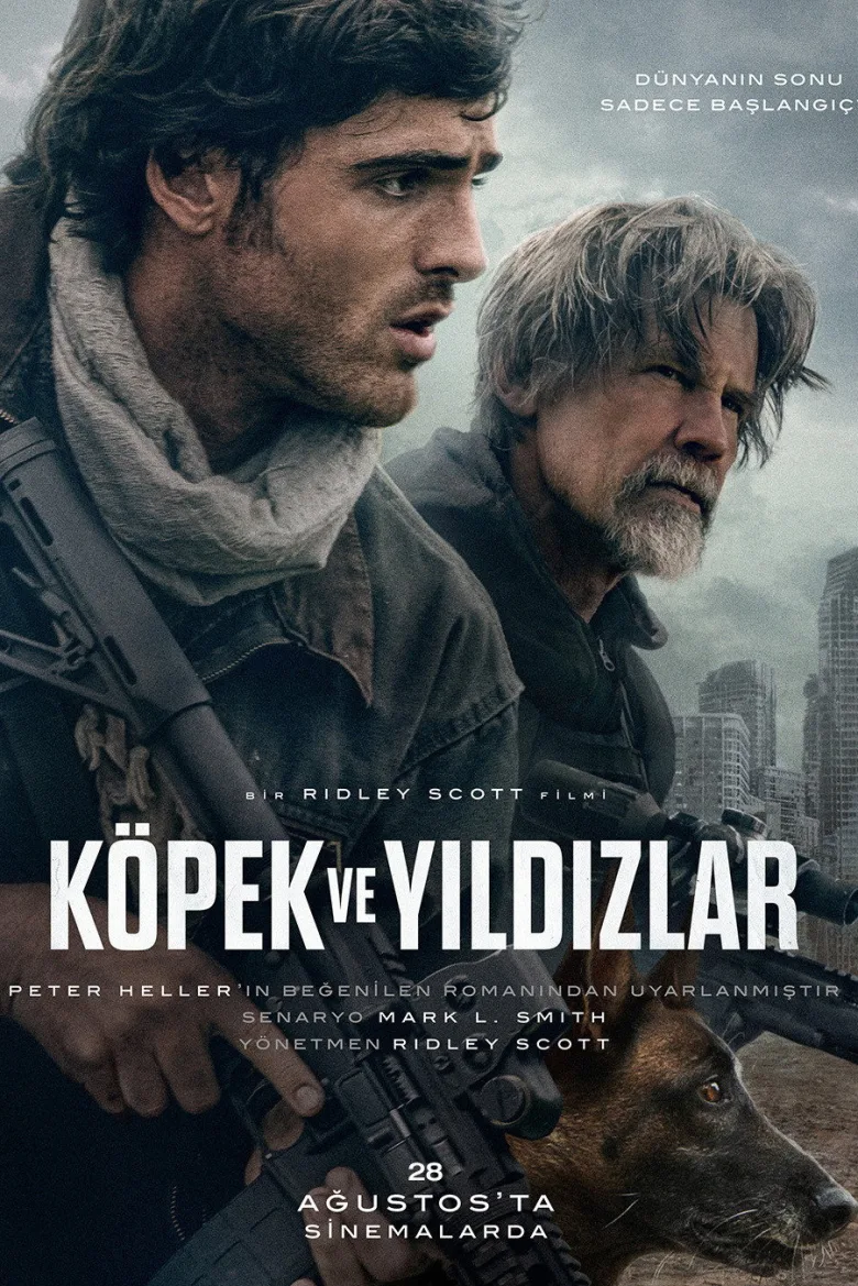 Köpek ve Yıldızlar - görsel 12