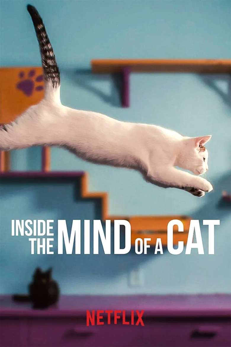 Inside the Mind of a Cat İndir - görsel 7