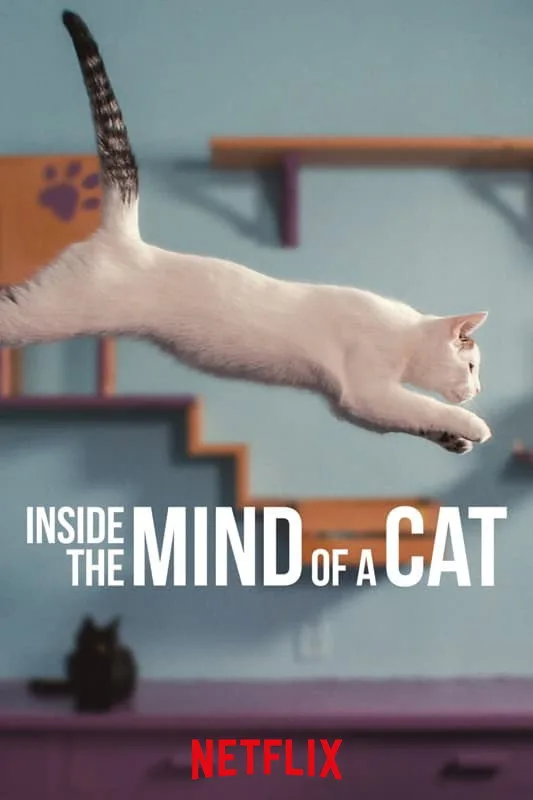 Inside the Mind of a Cat İndir - görsel 9