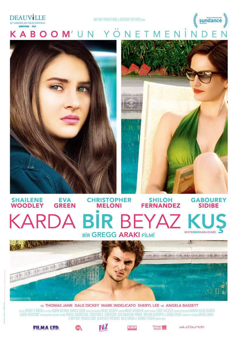Karda Bir Beyaz Kuş İndir - görsel 12