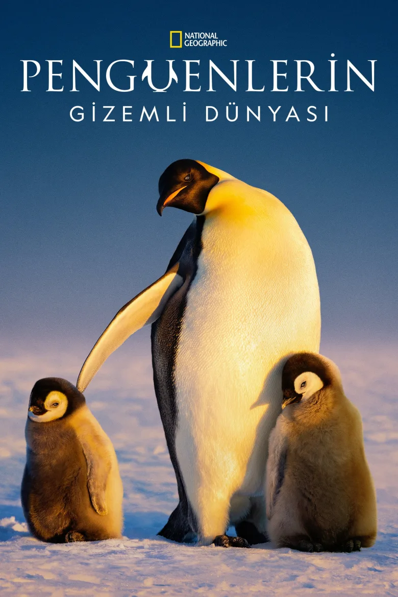 Penguenlerin Gizemli Dünyası 1080p Dual İndir - görsel 11