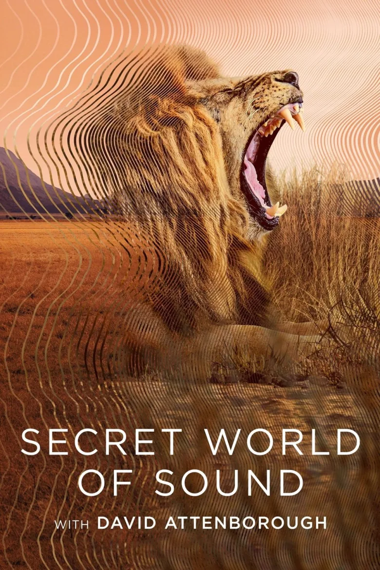 Secret World of Sound 1080p İndir - görsel 14