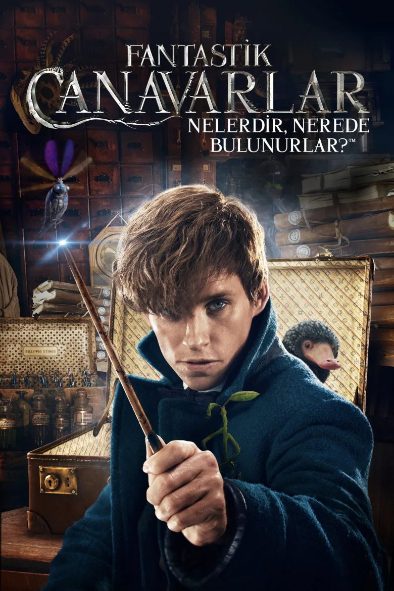 Fantastic Beasts and Where to Find Them - görsel 11