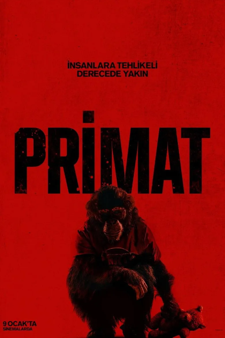 Primat İndir - görsel 11