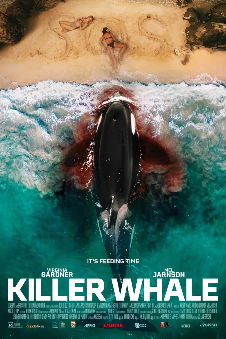 Killer Whale - görsel 14