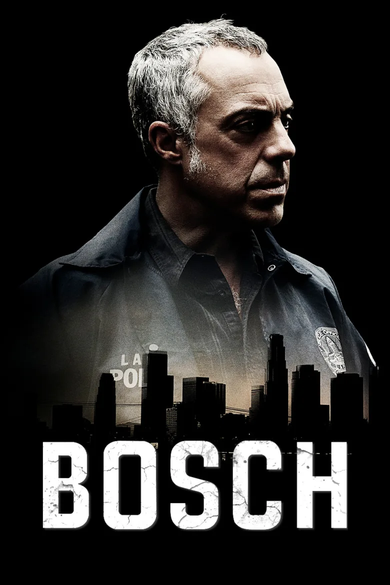 Bosch 1080p İndir - görsel 12