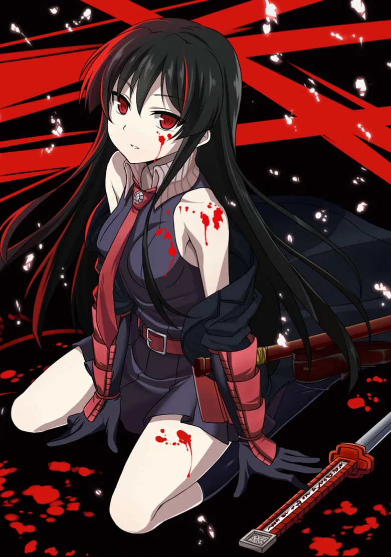 Akame ga Kill! 1080p İndir - görsel 14