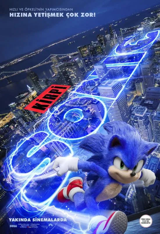 Kirpi Sonic İndir - görsel 14