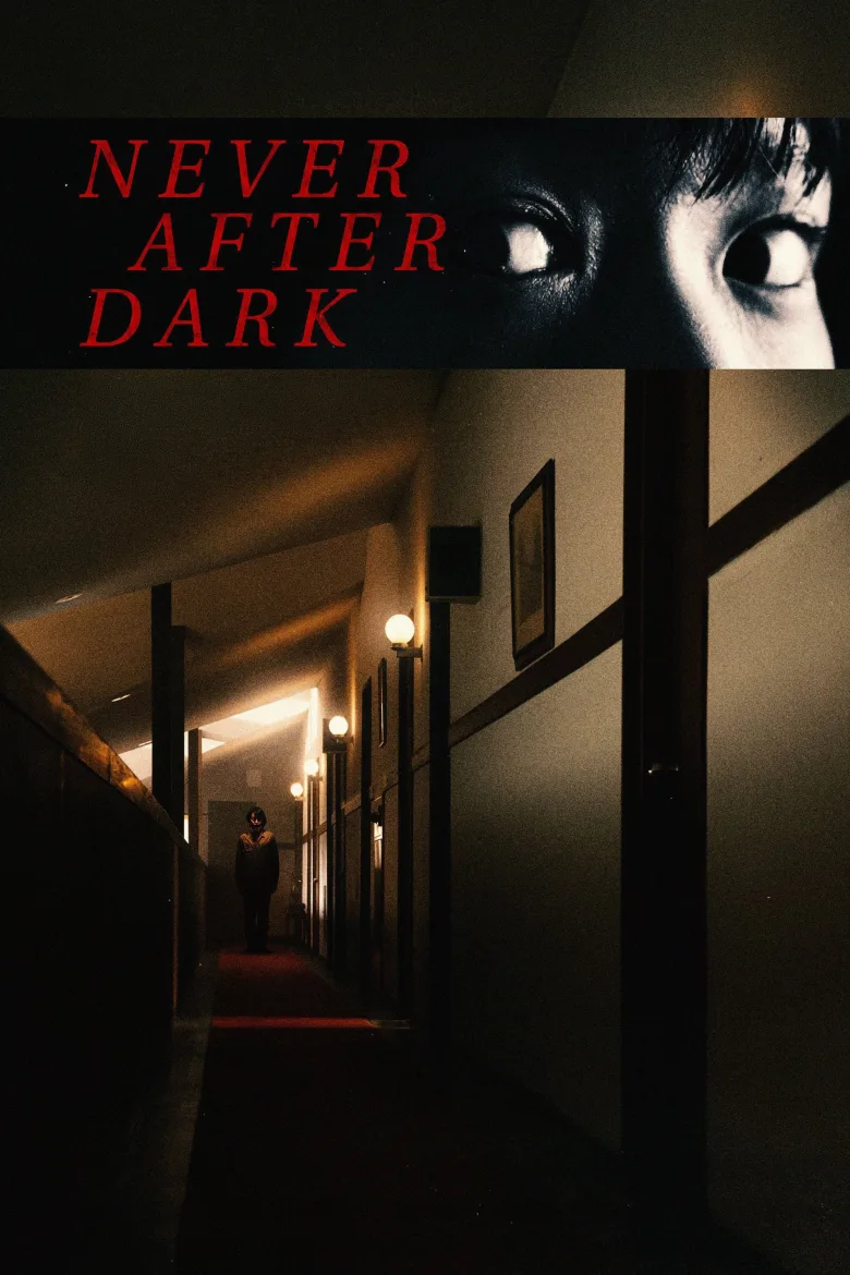 Never After Dark - görsel 11