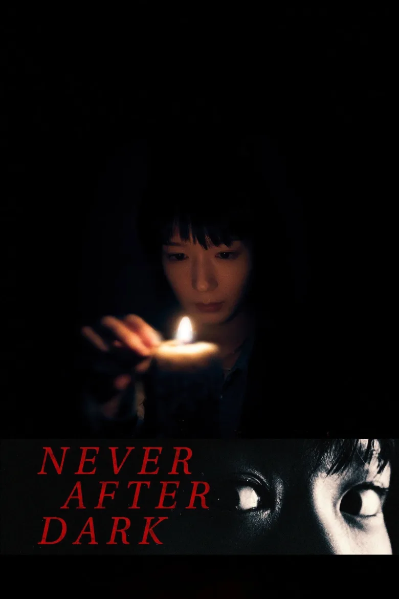Never After Dark - görsel 14