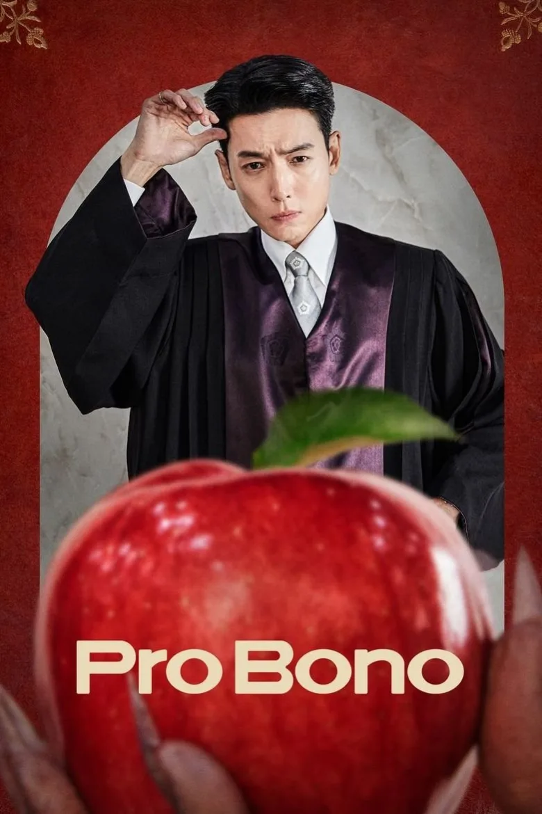 Pro Bono 1080p İndir - görsel 12