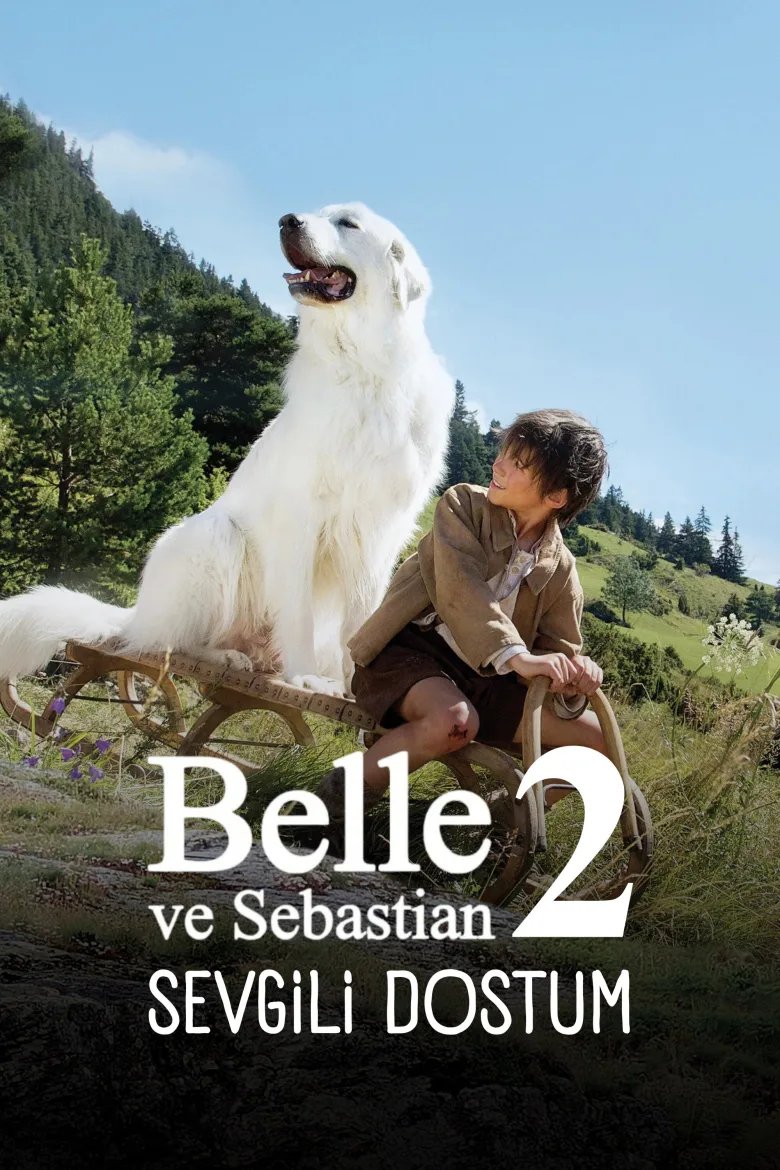 Sebastian Sevgili Dostum - görsel 8