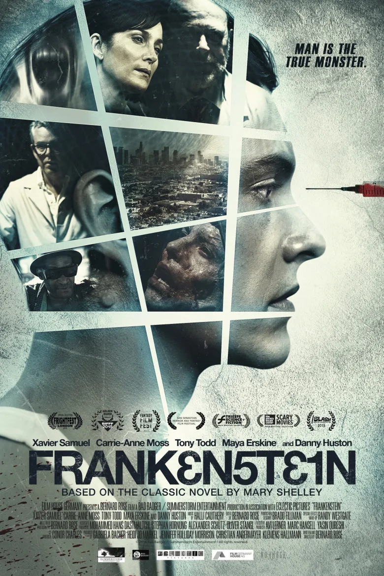 Frankenstein - görsel 11