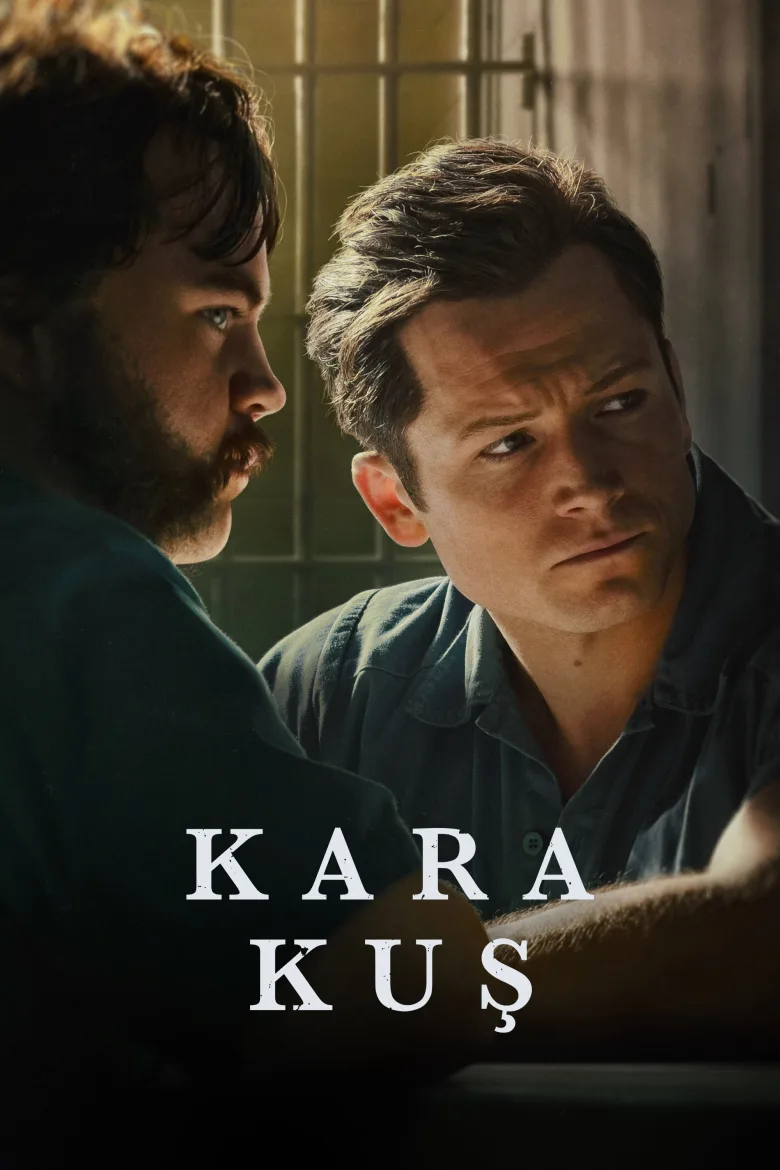 Black Bird 1080p İndir - görsel 11