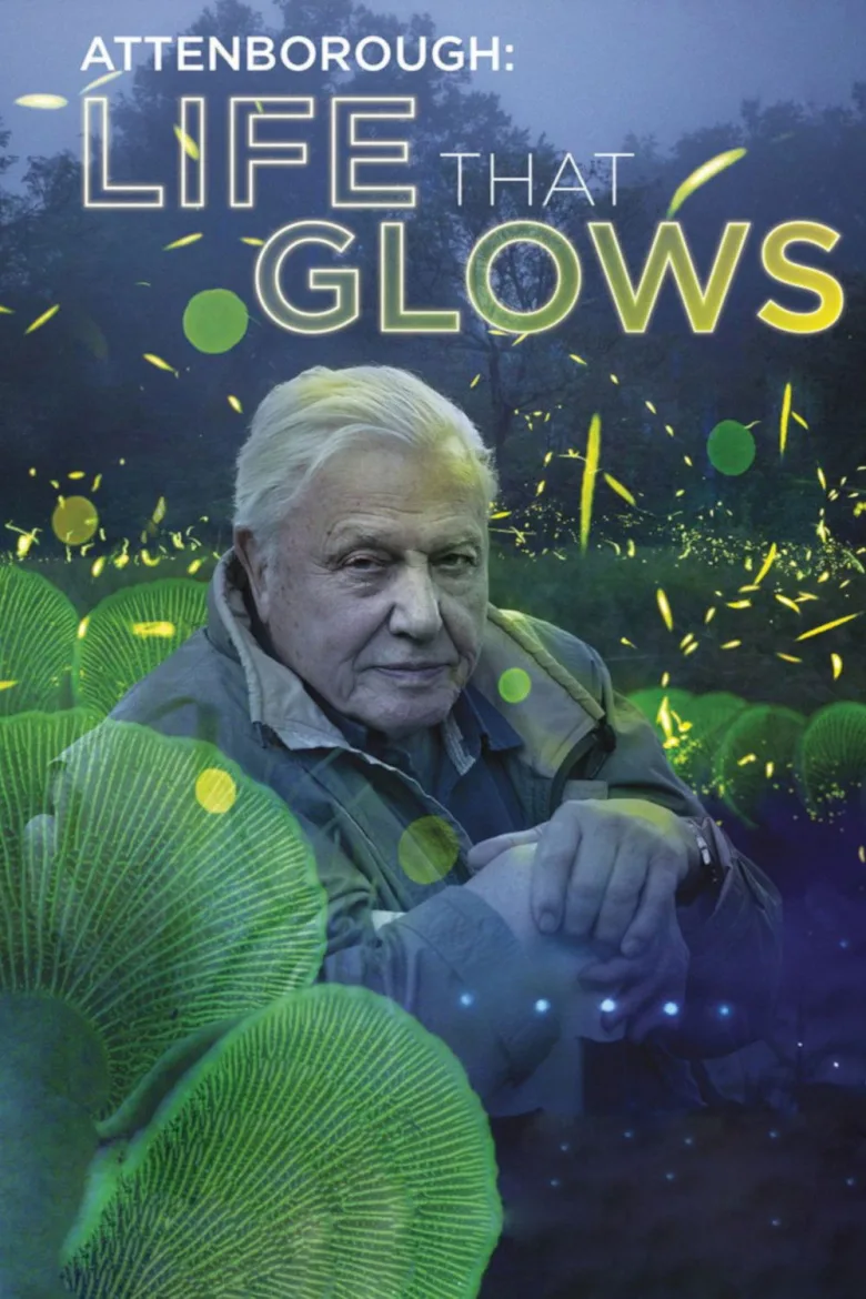 Attenborough's Life That Glows - görsel 5