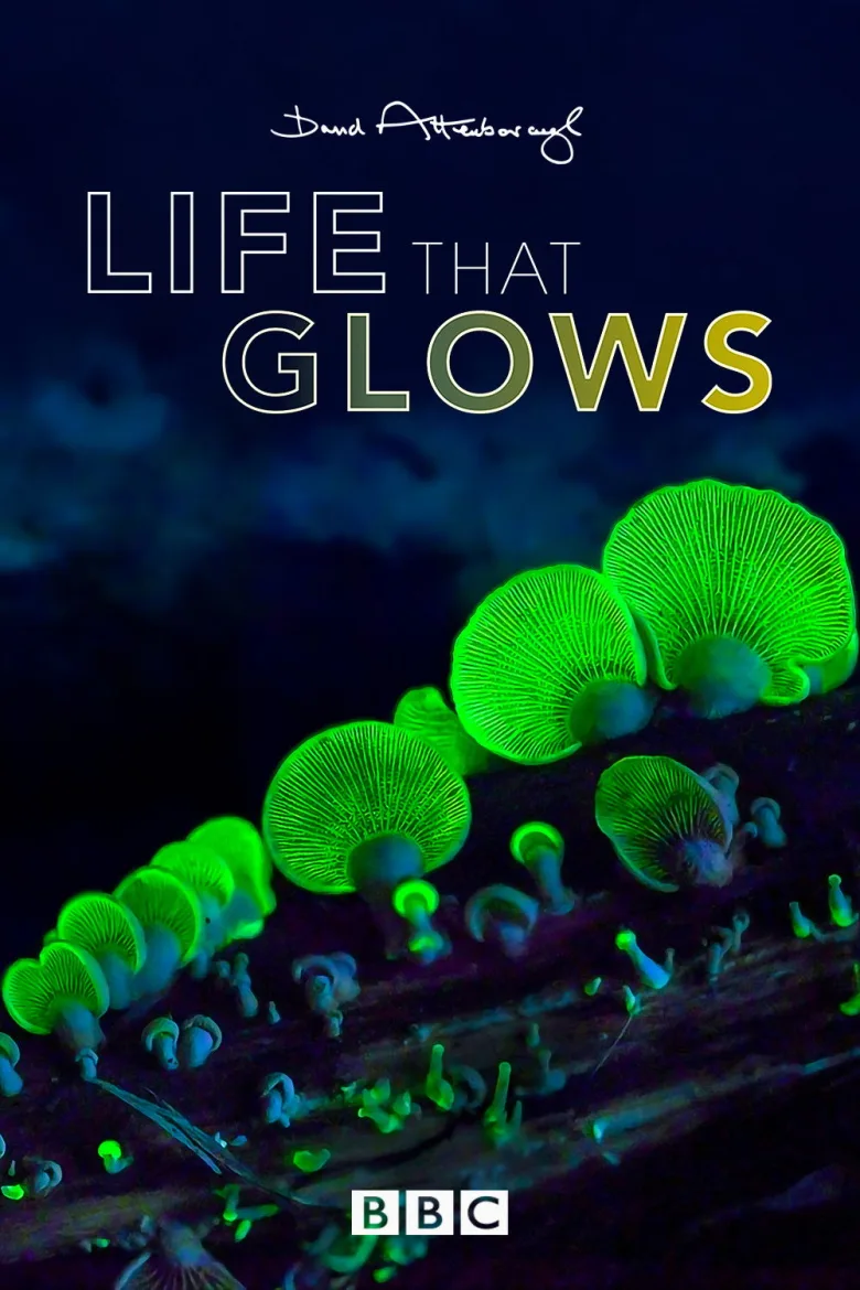 Attenborough's Life That Glows - görsel 6