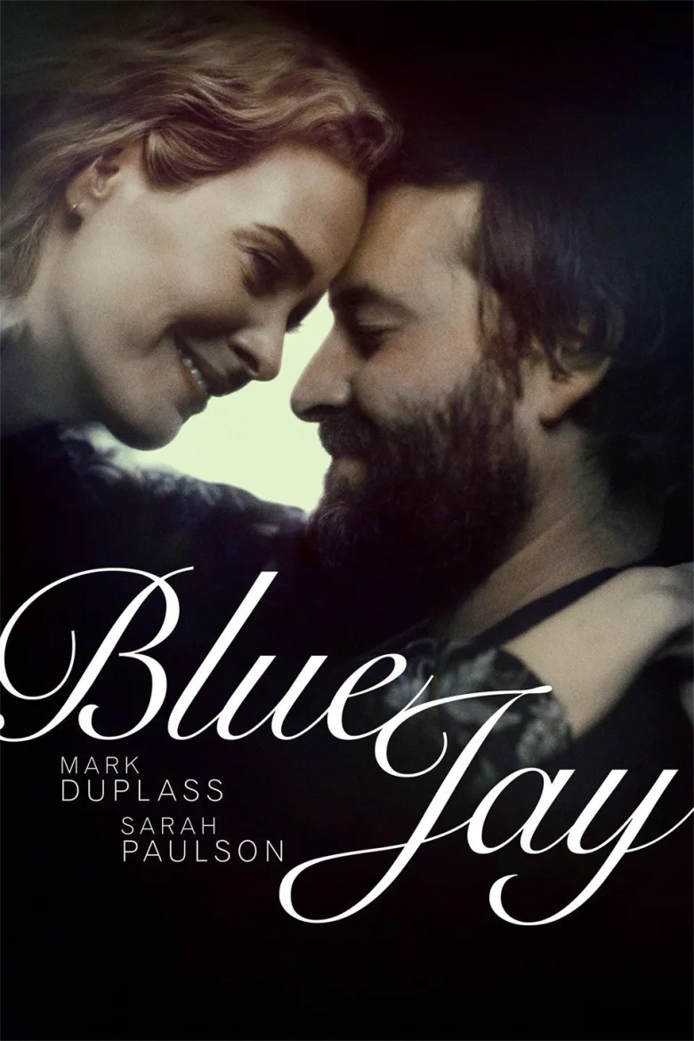 Blue Jay İndir - görsel 12