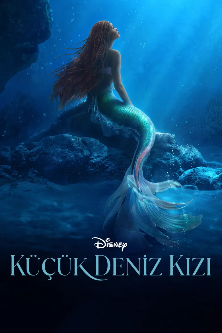 Küçük Deniz Kızı İndir - görsel 11