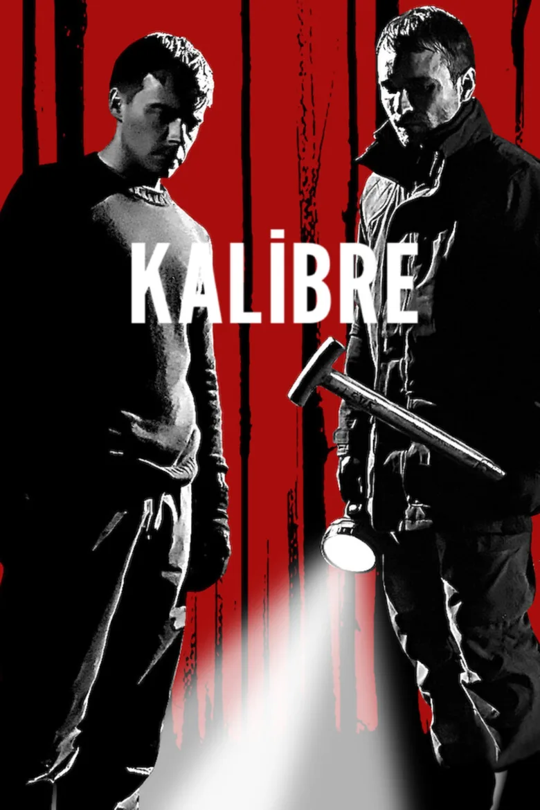 Kalibre İndir - görsel 12
