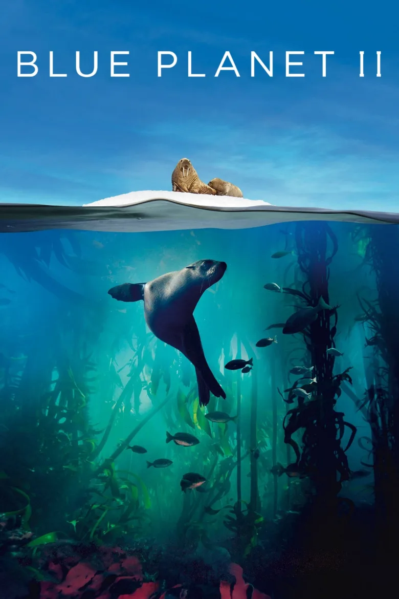 Blue Planet II 4K İndir - görsel 11