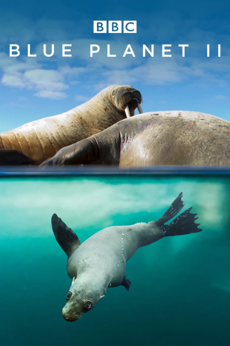 Blue Planet II 4K İndir - görsel 12