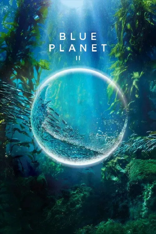 Blue Planet II 4K İndir - görsel 14