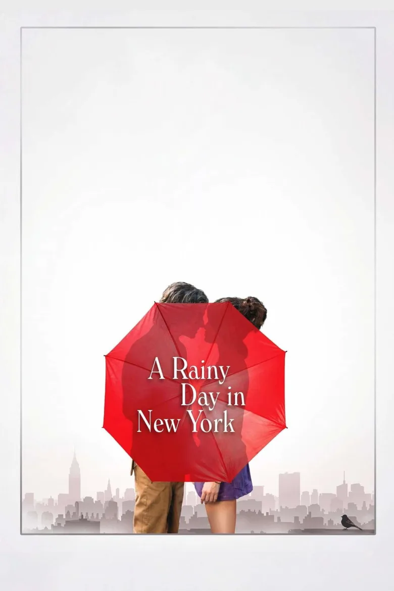 New York'ta Yağmurlu Bir Gün İndir - görsel 13