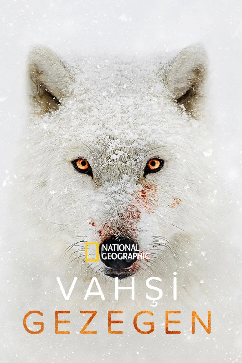 Vahşi Gezegen 1080p İndir - görsel 11
