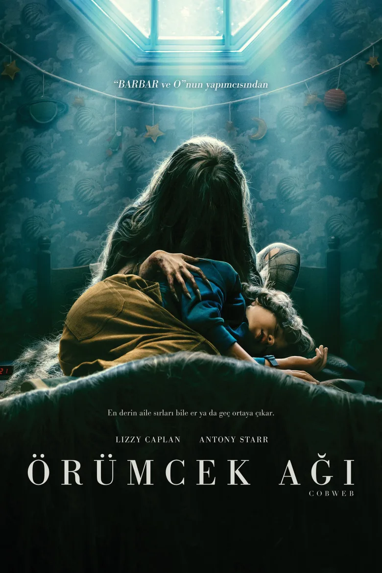 Örümcek Ağı İndir - görsel 11