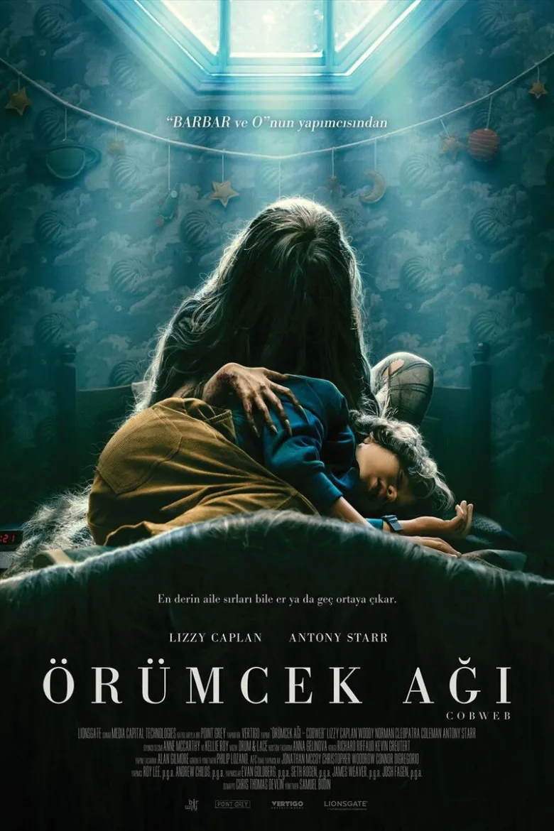 Örümcek Ağı İndir - görsel 12