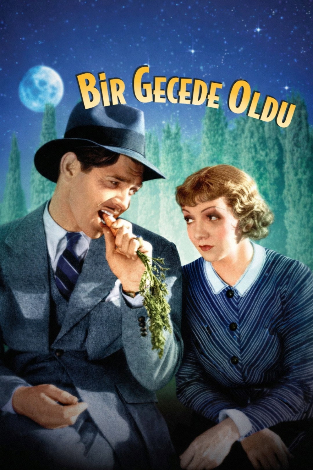 Bir Gecede Oldu İndir