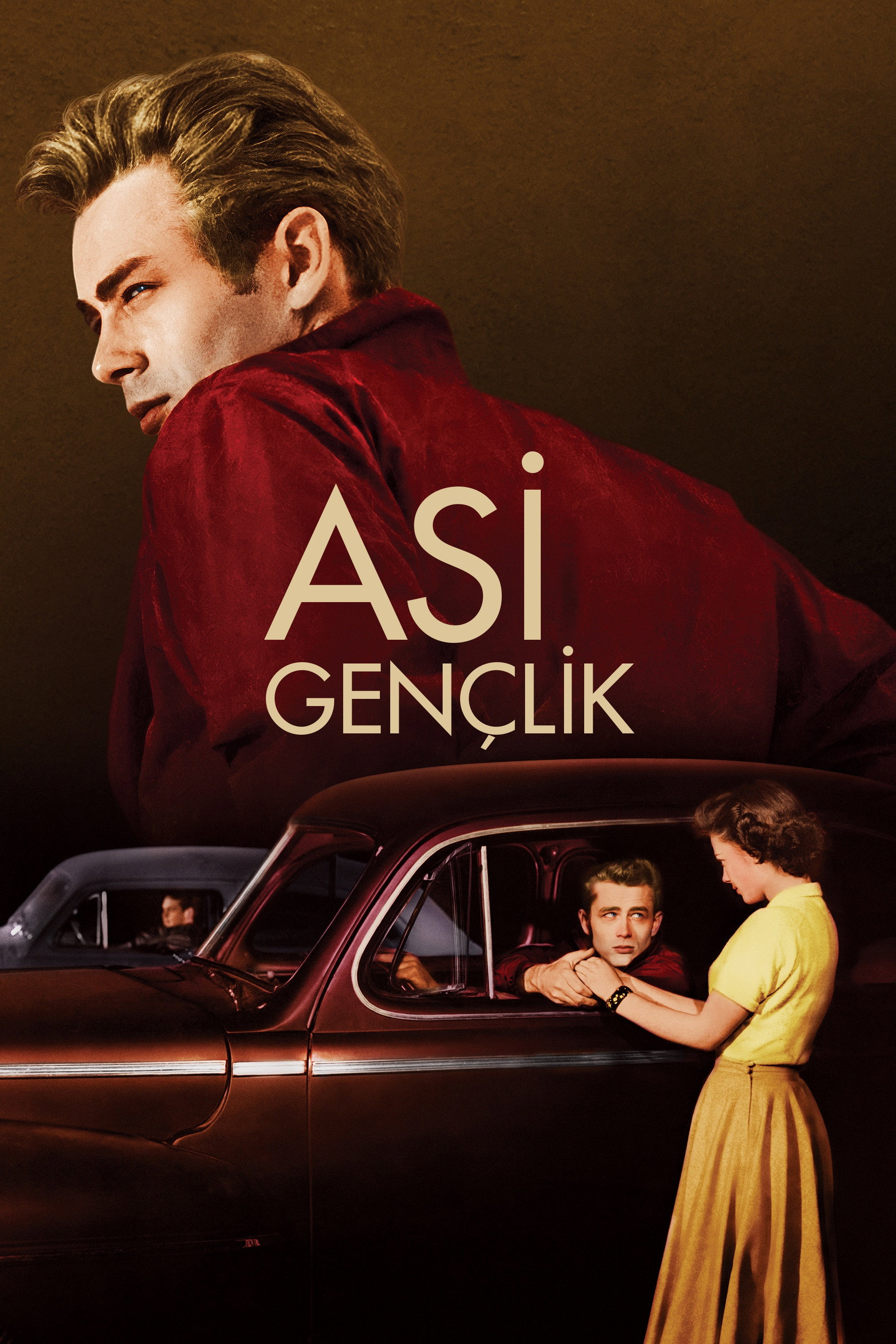 Asi Gençlik İndir