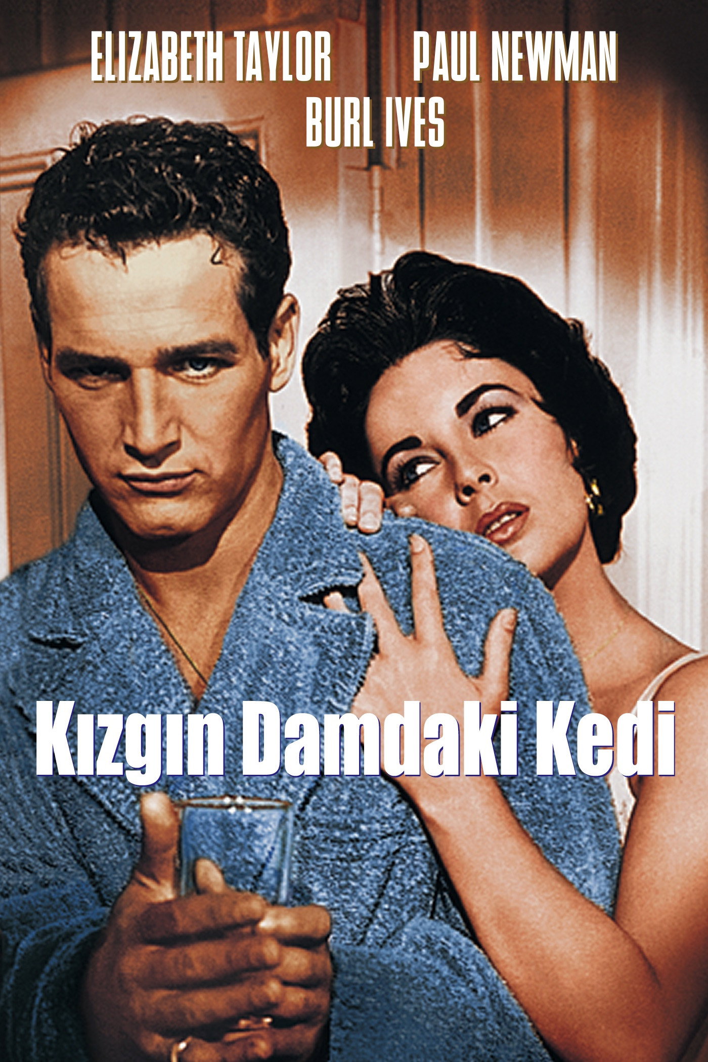 Kızgın Damdaki Kedi İndir