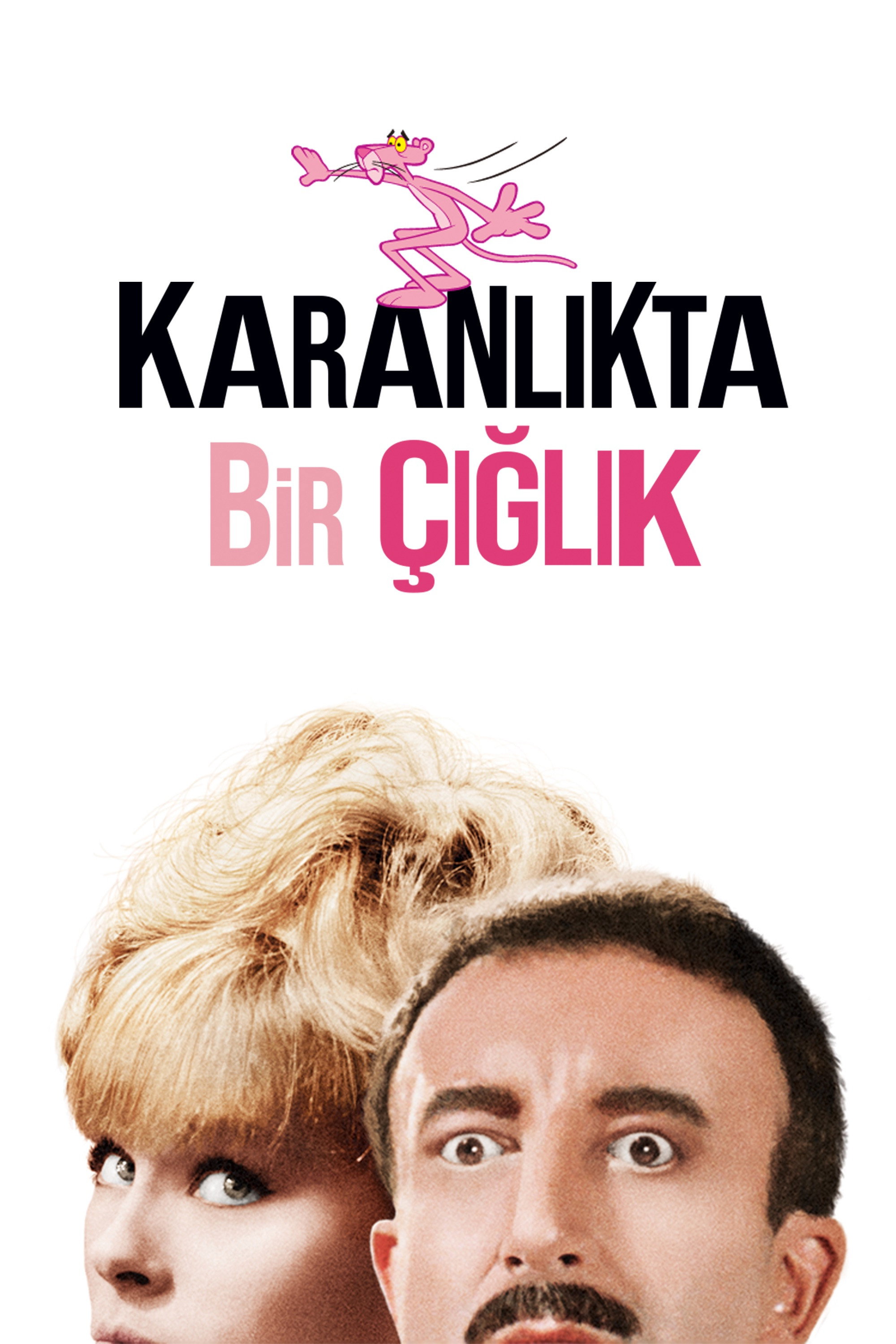 Karanlıkta Bir Çığlık İndir