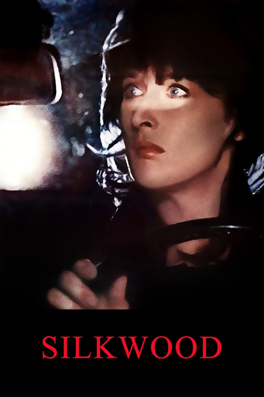 Silkwood İndir