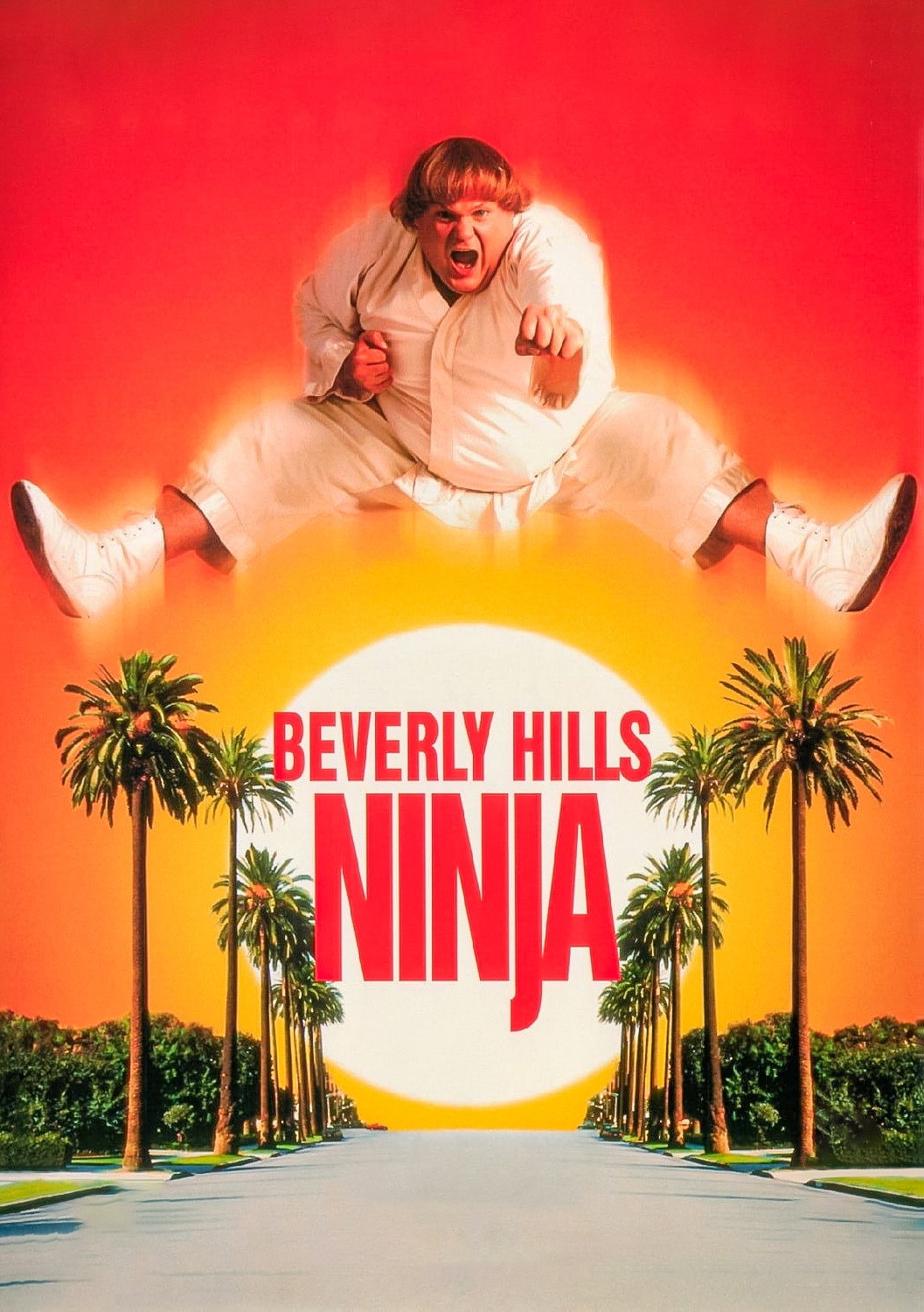 Beverly Hills Ninja İndir