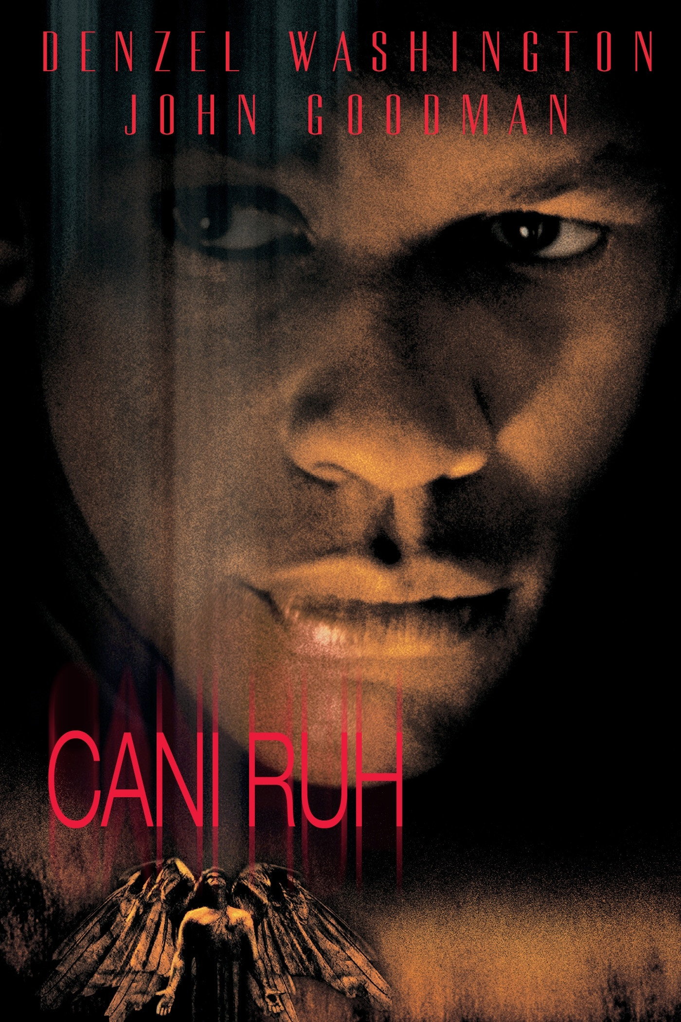 Cani Ruh İndir